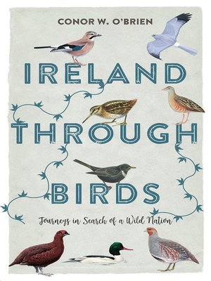 cover image of Ireland Through Birds